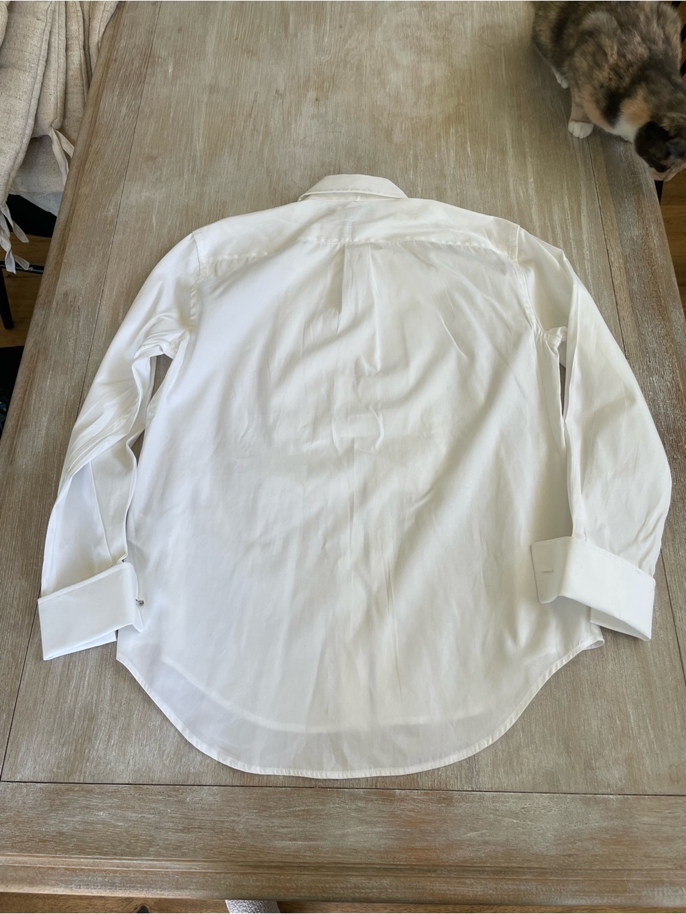 Women’s Polo Ralph Lauren Tuxedo shirt NWT size 6 - Picture 13 of 13